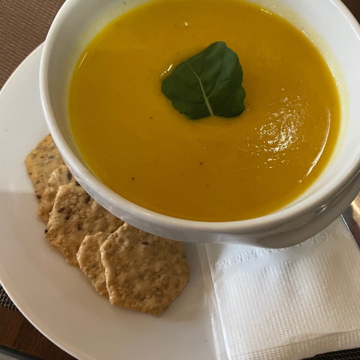 photo of The Tea Lounge Squash and apple soup shared by @fork4k on  19 Jan 2023 - review