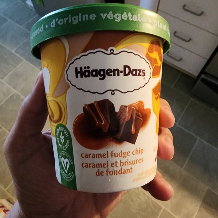 photo of Häagen-Dazs caramel fudge chip shared by @veganelduderino on  30 Jul 2023 - review