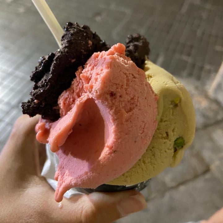 photo of Le Logge - Gelateria Gelato shared by @homemademood on  15 Aug 2023 - review