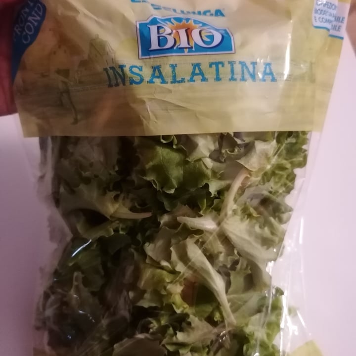 photo of Esselunga Bio Insalatina shared by @amaggica on  28 Mar 2023 - review