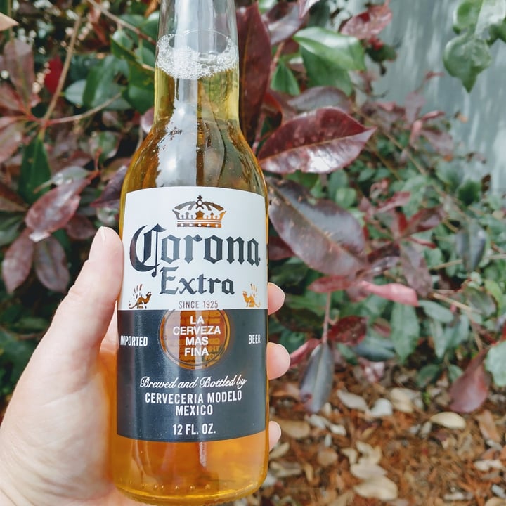 photo of Corona Corona Extra la Cerveza Mas Fina shared by @forestnymph on  05 May 2023 - review