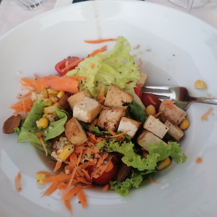 Snack bar Rio Rovinj, Croatia Vegan Salad Review abillion