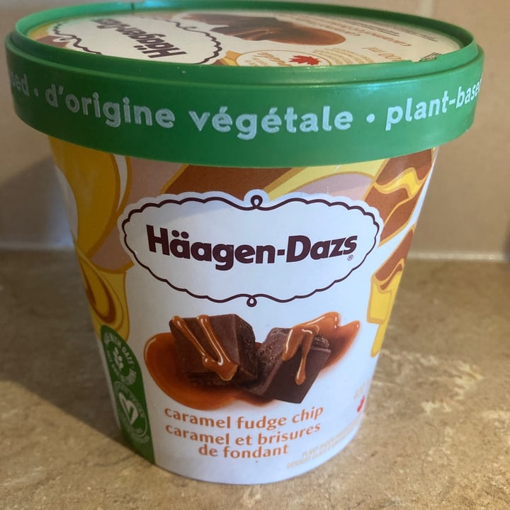 photo of Häagen-Dazs caramel fudge chip shared by @happyhorse on  09 May 2023 - review