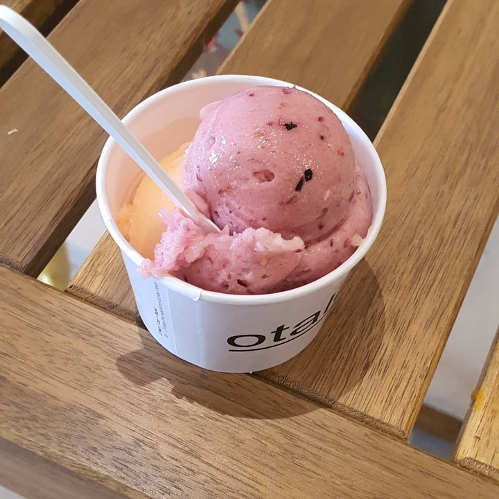 photo of Otaleg Gelato al melone e pesca Tabacchiera shared by @gigiavegan on  15 Aug 2023 - review