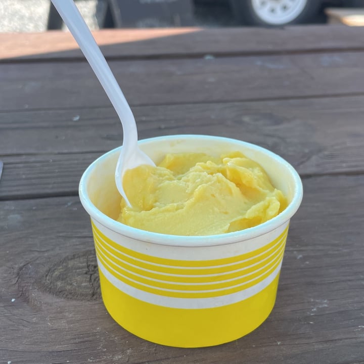 photo of Yellowstone Ice Cream mango sobert shared by @whittemorel on  30 Jun 2023 - review