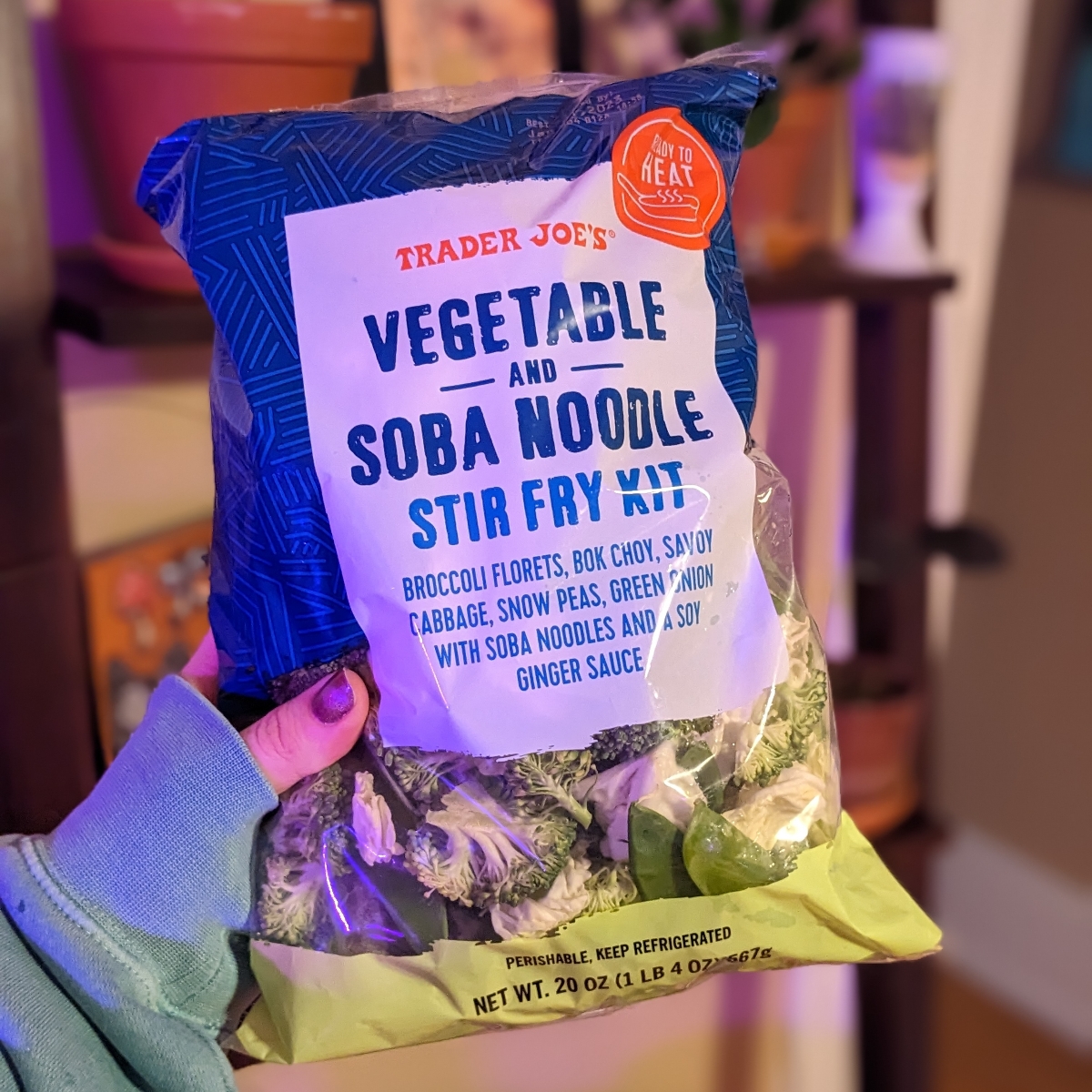 Trader Joe's Vegetable and Soba Noodle Stir Fry Kit Reviews abillion