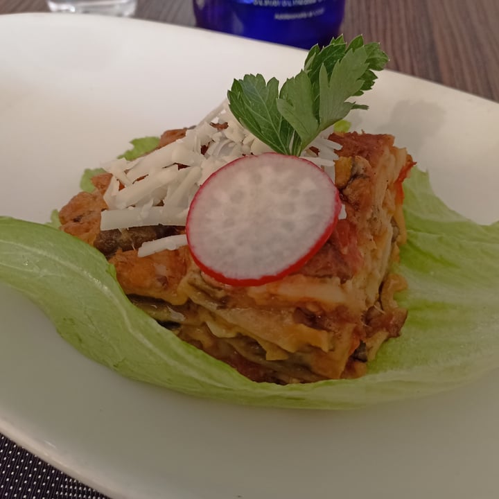 photo of Veganda Lasagna Alle Verdure shared by @elaura on  29 Jul 2023 - review