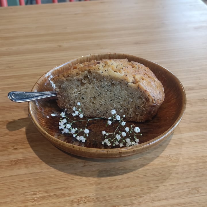 photo of Botania - food & beer garden lemon cake with poppy seeds shared by @alice87 on  04 Jul 2022 - review