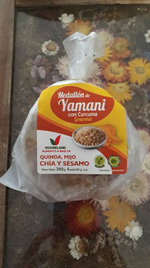 photo of Veggieland Hamburguesa Vegana shared by @valefit on  29 Mar 2020 - review