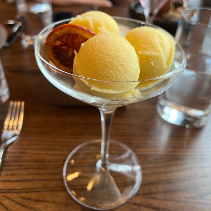 photo of Blue Jay Bistro Mango Sorbet shared by @slbenson on  27 Mar 2022 - review