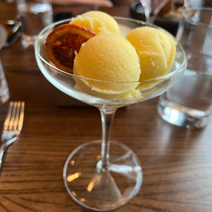 review photo of Blue Jay Bistro Mango Sorbet shared by @slbenson on 27 Mar 2022 - review