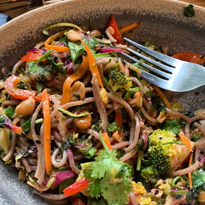 review photo of Little Green on Chapel “Tuna” Salad Made From watermelon 🍉 shared by @chaye on 02 Dec 2019 - review