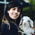 kacerutti @kacerutti profile image