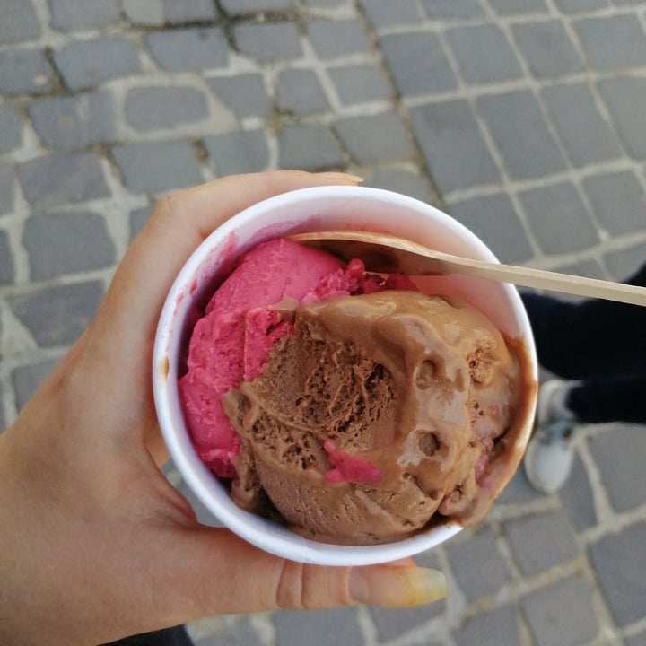 photo of Delicious Raw chocolate ice cream and raspberry ice cream shared by @imola on  16 Sep 2022 - review