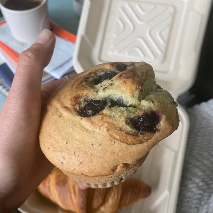 photo of Grounds & Greens Cafe Blueberry Lemon Poppyseed Muffin shared by @becs10 on  02 Jul 2021 - review