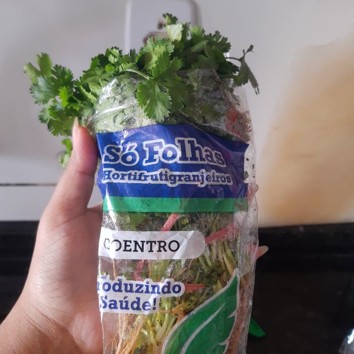 review photo of só folhas Coentro shared by @kamilladias on 03 May 2022 - review