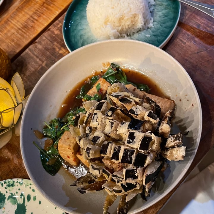 review photo of Thaihey NOLA Spicy eggplant And Tofu shared by @maggielicalis on 08 Nov 2022 - review