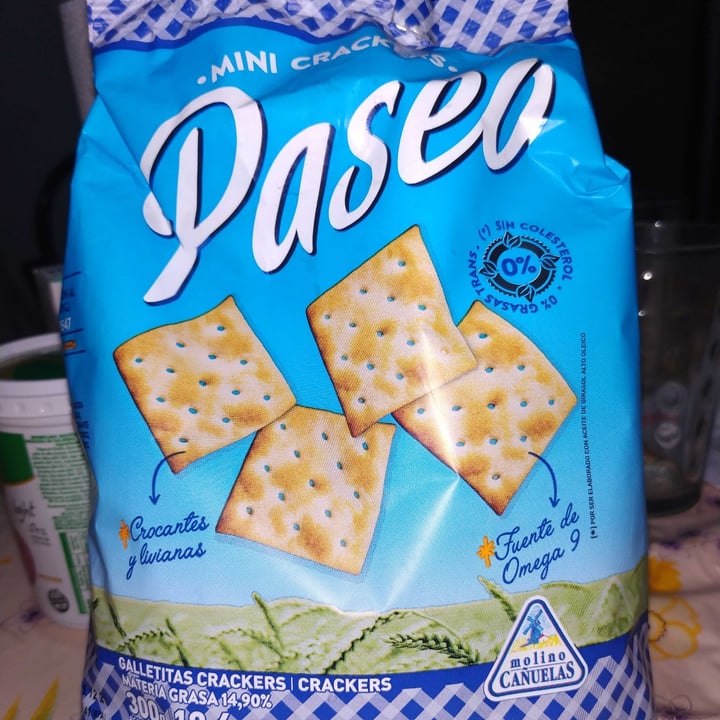 photo of Paseo Mini Crackers shared by @lautarofrackiewicz on  04 Aug 2021 - review