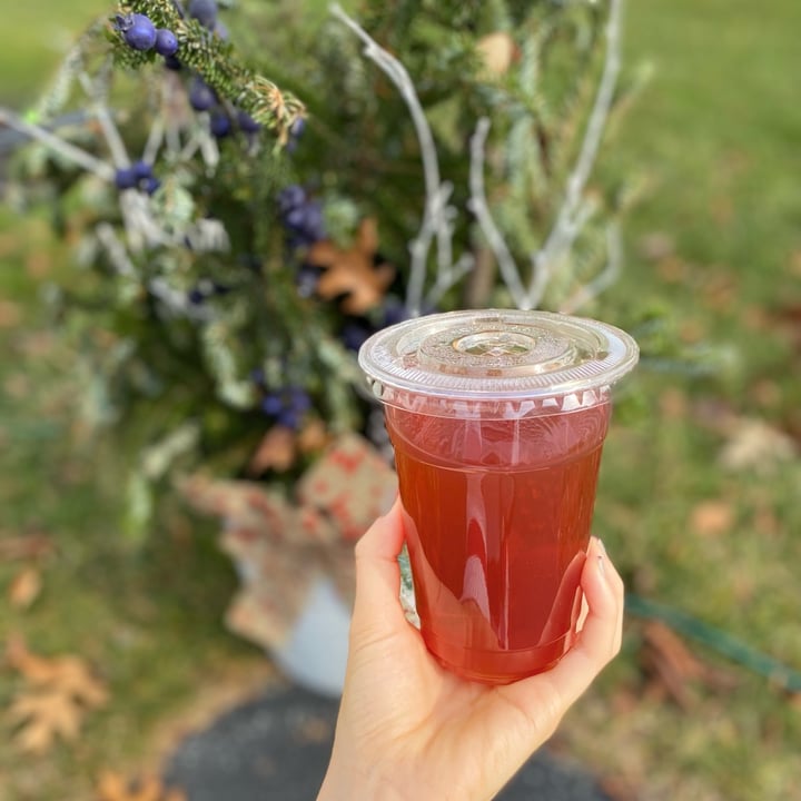 photo of The Vegetable Hunter- Vegan/ Vegetarian Cafe & Boutique Brewery Ginger Berry Iced Tea shared by @alexanicole on  19 Dec 2021 - review