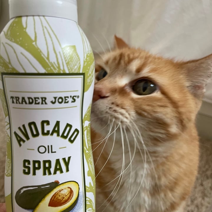 Trader Joe's Avocado Oil Spray Review abillion