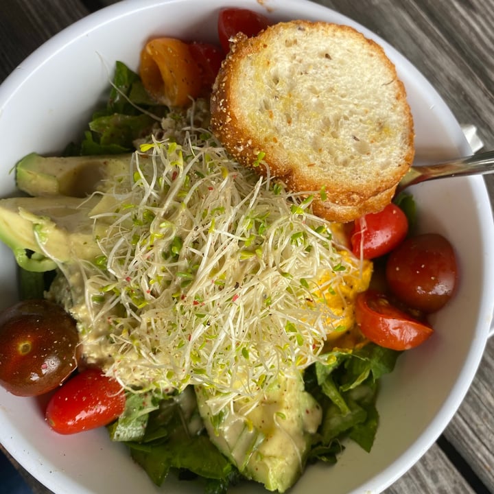 photo of Delisheeyo super salad shared by @carolineoyler on  03 Nov 2020 - review