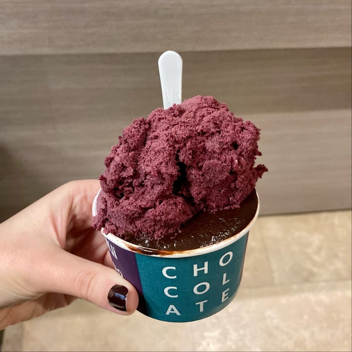 photo of Rapanui Helado De Patagonia Mia Y Chocolate shared by @outofstep on  16 Oct 2021 - review