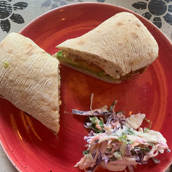 photo of Delfino Lounge Falafel and avocado mash in ciabata. shared by @suefletcher on  24 Jun 2022 - review