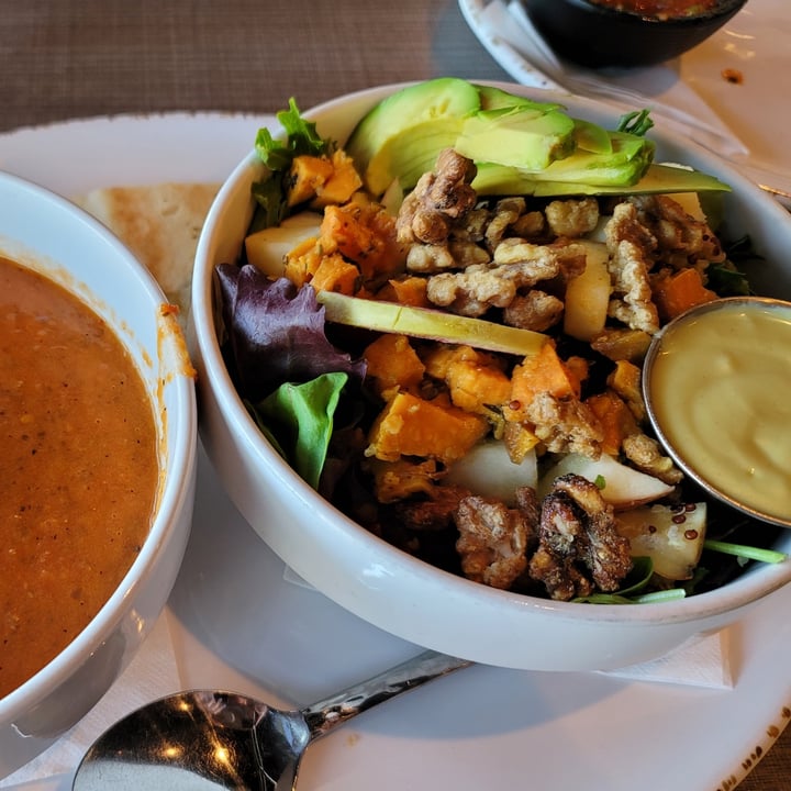 photo of Picazzo's Healthy Italian Kitchen Tempe Vegan Mother Earth Salad shared by @cassiegraf on  26 Jul 2022 - review
