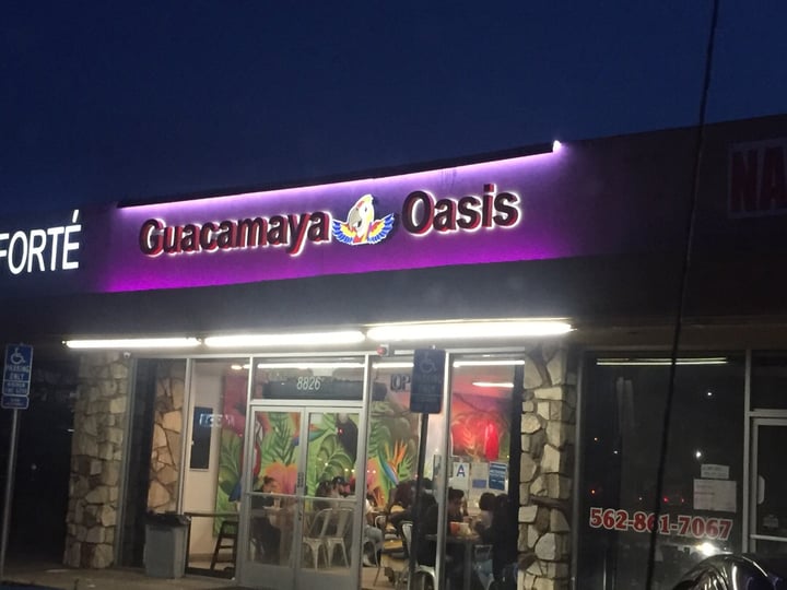 review photo of Guacamaya Oasis Ceviche shared by @veganlifekat on 08 Apr 2020 - review