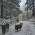 muddyandfoxgloved @muddyandfoxgloved profile image