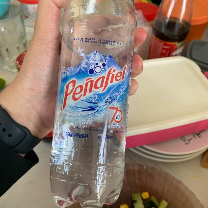 photo of Peñafiel Agua Mineral de Manantial Sifón 1.75 L shared by @moreofvn on  30 Jun 2022 - review