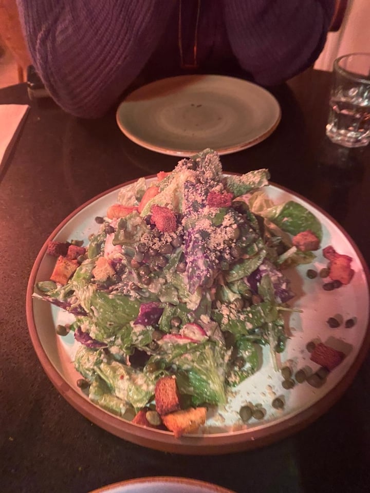 photo of Meshek Barzilay Ceaser Salad shared by @vegandaddy on  12 Jan 2020 - review