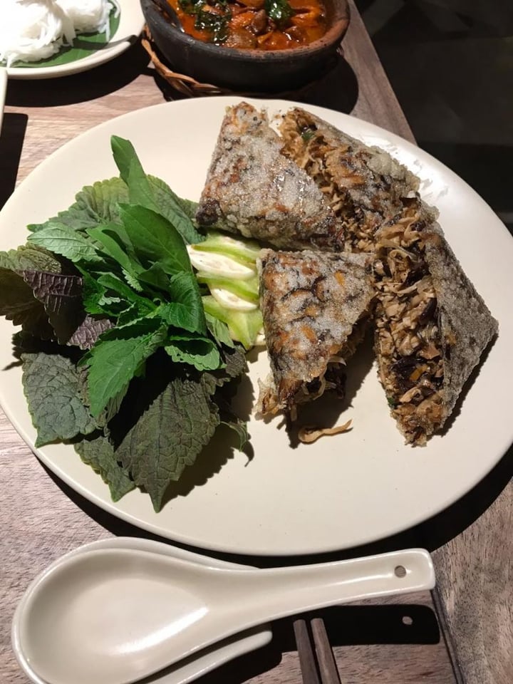 photo of Hum Vegetarian, Lounge & Restaurant Squared Deep Fried Spring Rolls shared by @aparnasa on  22 Dec 2019 - review