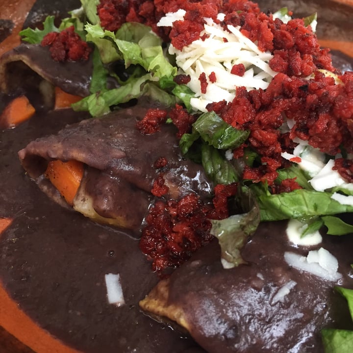 photo of Mictlan Antojitos Veganos Etlaxcalli  enfrijoladas rellenas de papa y zanahoria shared by @zullybee on  17 Apr 2021 - review