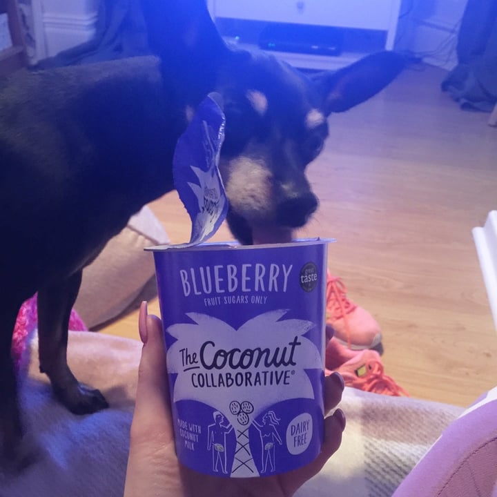 photo of The Coconut Collaborative Blueberry Yogurt shared by @rjadeg on  25 Feb 2020 - review