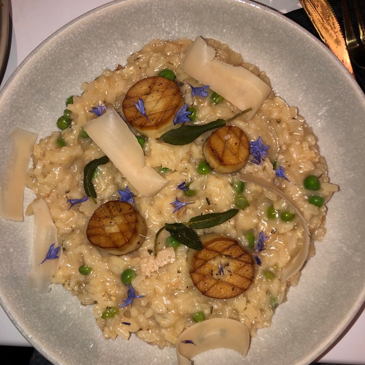 photo of Astoria Bistro Botanique Scallop Risotto shared by @tiascaz on  30 Aug 2021 - review