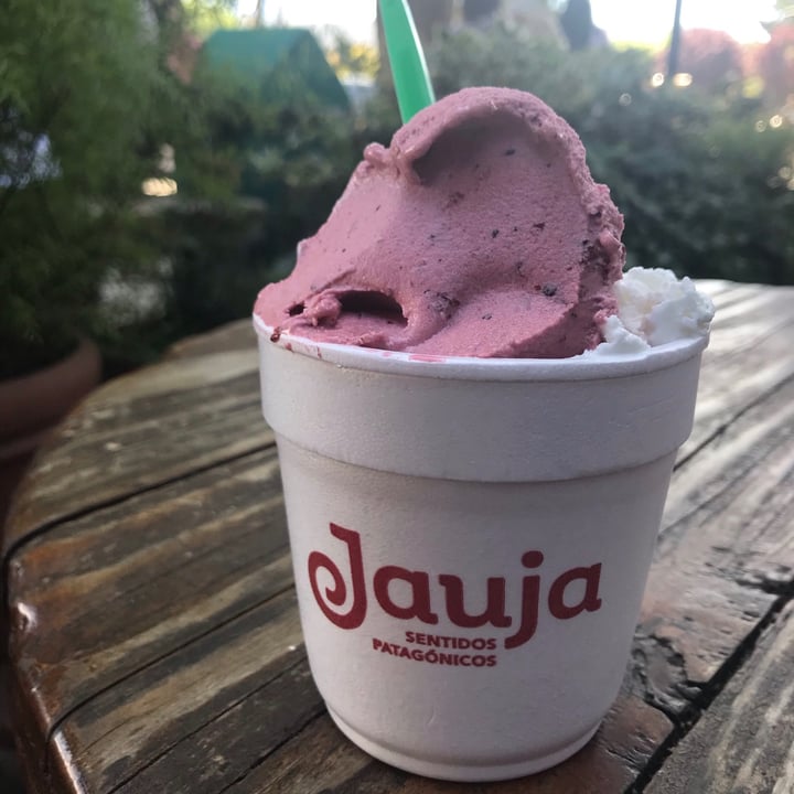 photo of Helados Jauja S.A. 1/4 kg helado shared by @sechague on  27 Feb 2021 - review