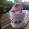 Helados Jauja S.A.