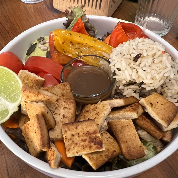 photo of Cafe Katzentempel Nürnberg Tofu salad shared by @johnnycactus on  29 May 2022 - review