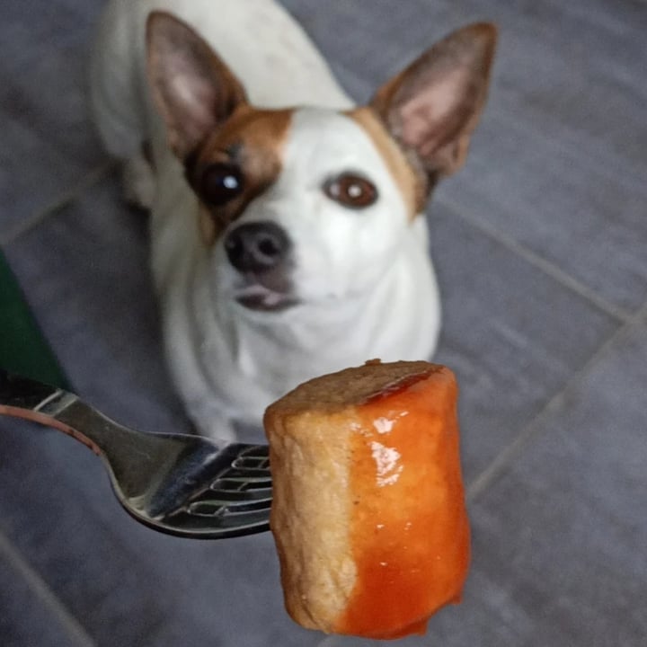 photo of Delhaize veggie Vegan mini frikandel fricadelle shared by @marsss on  07 Aug 2022 - review