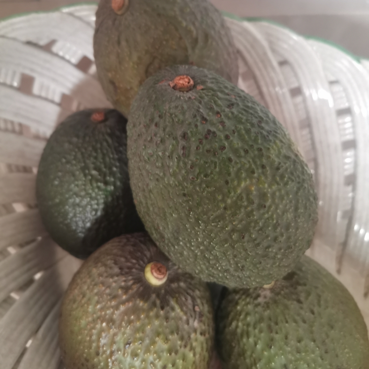 Lidl avocado hass Reviews abillion