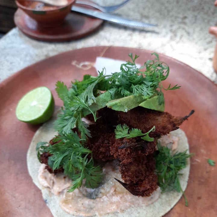 photo of Los Loosers Fish Taco shared by @omar0505 on  21 Jun 2022 - review