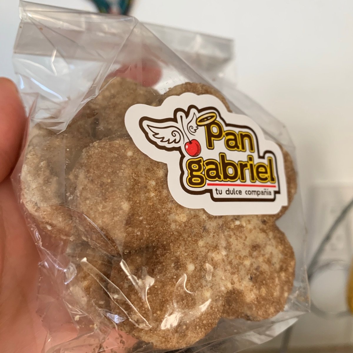 Pan Gabriel Hojarasca Reviews abillion