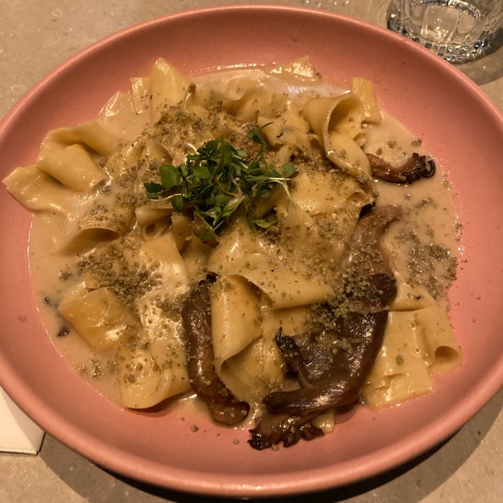 photo of Mudrá Papardelle Blanco shared by @outofstep on  29 Sep 2022 - review