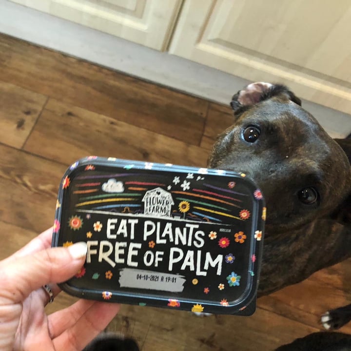 photo of Flower Farm Eat plants but not palm please shared by @lauraspaanse on  19 Jun 2021 - review