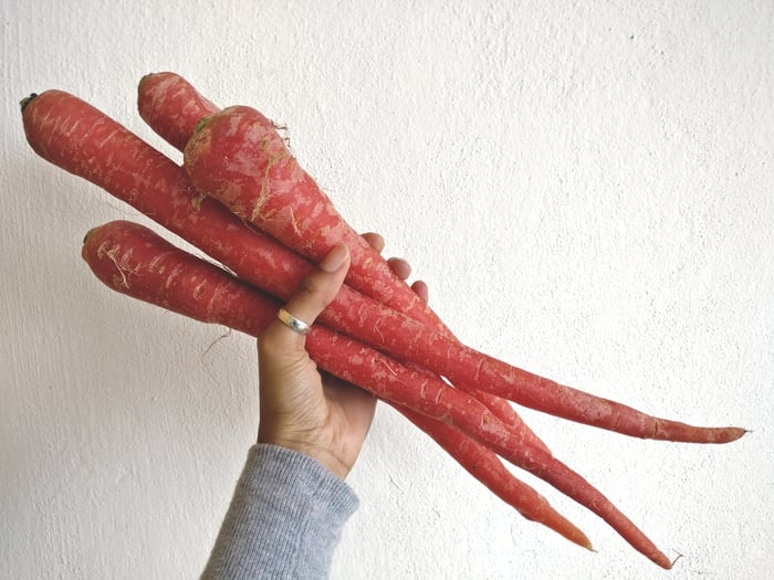 Delhi red carrots