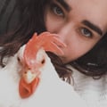 ambra95 @ambra95 profile image