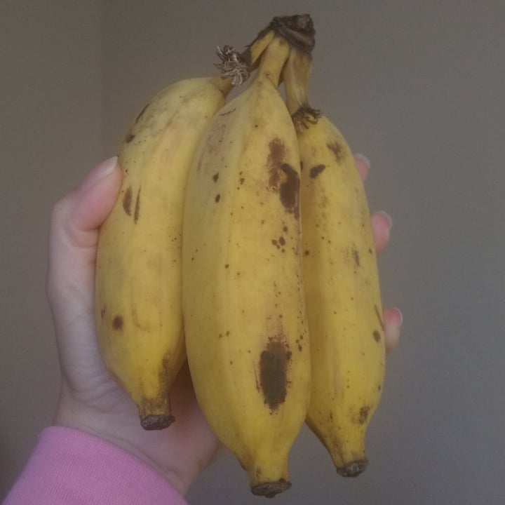 photo of Banana fruit shared by @alinerg on  10 May 2022 - review