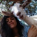 delfimartinezx @delfimartinezx profile image