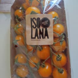 Isolana